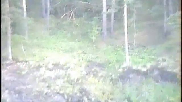 УАЗ Каменск Кадинка.swf смотреть онлайн