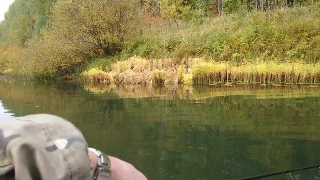 Рыбалка в сентябре. Рыбалка по речке  Виледь. День первый.