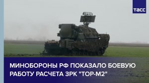 Минобороны РФ показало боевую работу расчета ЗРК "Тор-М2"