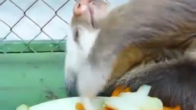 Вот что такое настоящий релакс ))) смотреть онлайн