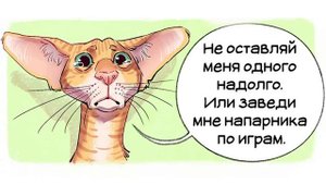 Комиксы. Породы кошек Мемозг 307