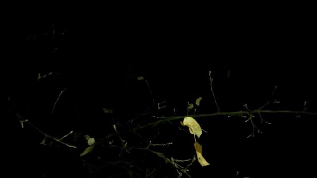 Убывающая Луна. Что можно и что нельзя делать.