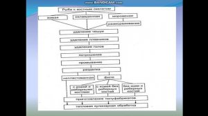 Сбитнева Л.Е  Обработка рыбы