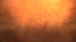 15 секунд рассвета