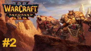 warcraft 3 reforged #2