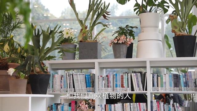 我们的图书馆，开业啦！！！ смотреть онлайн