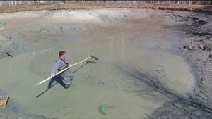 вылавливаю сачком остатки рыбы и вношу известь.