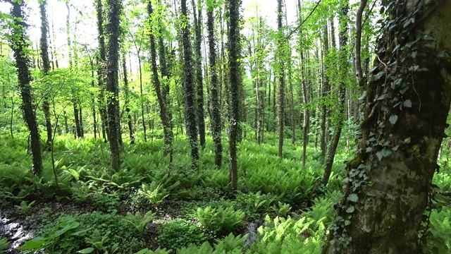 Сочи2022 Курорт Красная поляна. Два дня в горах. Водопад Поликаря Водопад Кейва. Апарт отель "Горы"