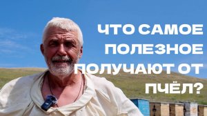 Пчеловод. Все о пчёлах. Что самое полезное можно от них взять?