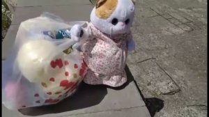 ?Влог: Новая одежда для басиков  ?