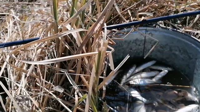 Мы открыли сезон Рыбалки в Бурятии #деревенскийтренд