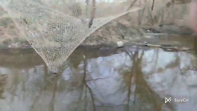 рибалка на фатку з @user-pk8oz3rp6o #рибалка #fishing #щука #паукподъемник