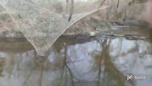 рибалка на фатку з @user-pk8oz3rp6o #рибалка #fishing #щука #паукподъемник