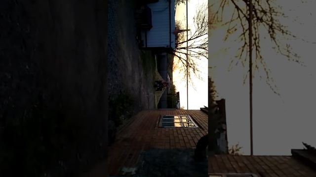 Ремонт мотороллера часть 1 смотреть онлайн