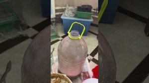 Обновление состава БАРМАТУХИ от Юлии из Москвы.