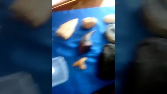 Ида это миниралы смотреть онлайн