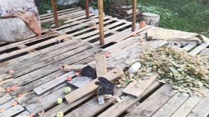 продолжение беседки своими руками