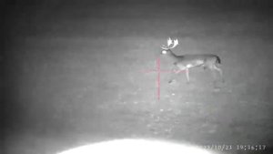 Pard NV008S LRF 850nm 6,5x