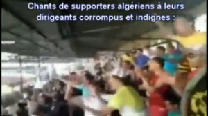 Jeunesse algerienne et Al Qaida