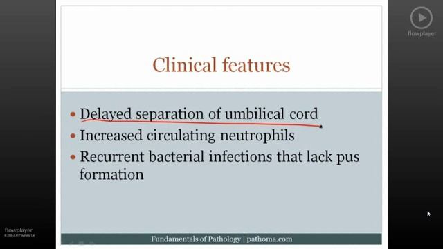 Pathoma USMLE - II ГЛАВА - 2.Воспаление 2/3