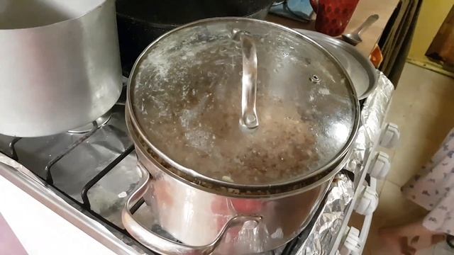 Сменили хлебопекаря, первые всходы в огороде#многодетнаясемья#рецепты смотреть онлайн