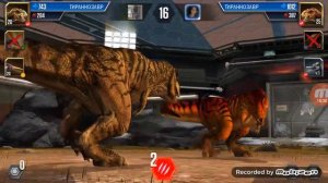 Мой первый мегатерий!