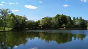 1 микрорайон Зеленограда. Обзор для покупателей квартир.