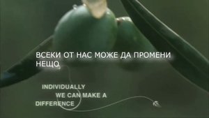Ефория – универсалният инсектицид