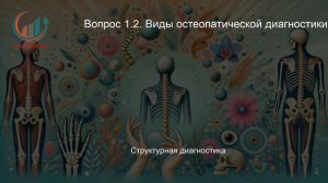 Основы остеопатии. Профпереподготовка. Лекция. Профессиональная переподготовка для всех!