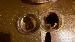 Тотем Пёс. Тотем Медведь.2021год.