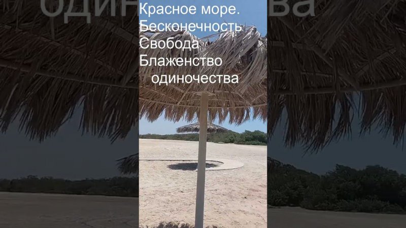 Кауст Аравия #психология #саморазвитие