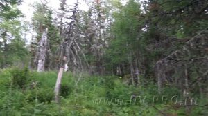 Неприступная Ослянка. Попытка забраться на гору Ослянка, во время сплава по реке Косьва