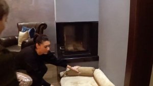 Подарили собаку. Реакция ребенка на щенка.
