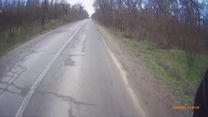 Zero 11x 5km trip