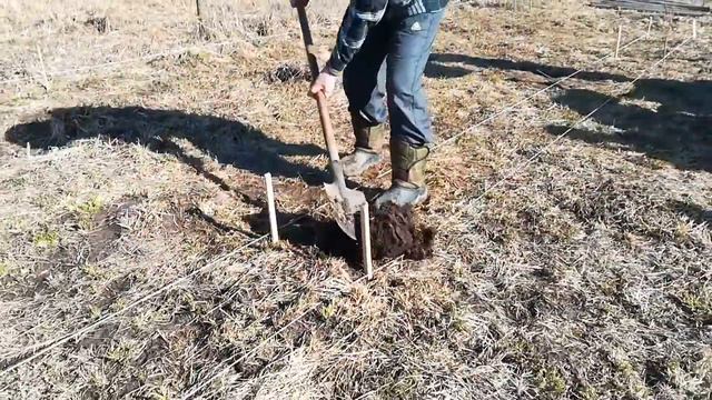 Будущий памятник в деревне смотреть онлайн