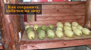 Как хранить кабачки на зиму
