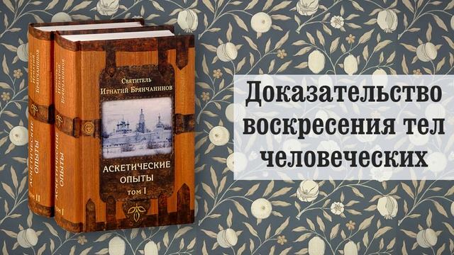 28. Доказательство воскресения тел человеческих. Игнатий Брянчанинов смотреть онлайн