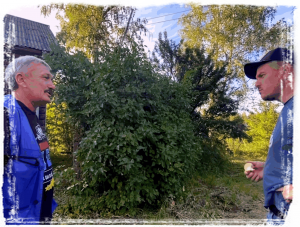 В деревне Дуброво. Начальный осмотр дома