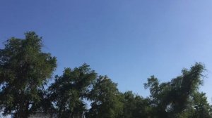 АН-2 - Первый полет кордовой модели