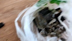 ГДЕ ДОСТАТЬ СВИНЕЦ БЕСПЛАТНО