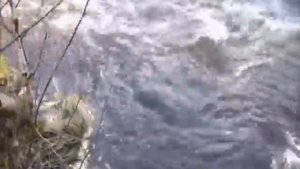 Рома Бахталэ - Угрюм-река