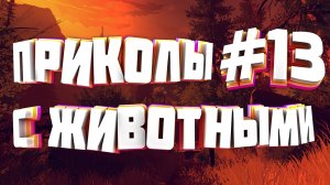 Приколы с животными | Приколы угары | Засмеялся подписался #13