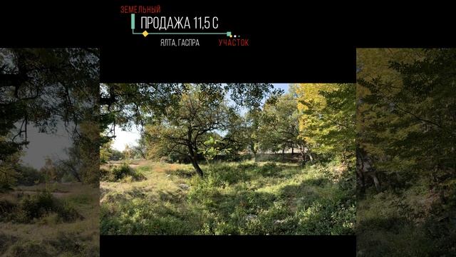 Продается участок 11,5 с в Ялте (Гаспра) смотреть онлайн