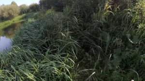 Ловля щуки, минусы и плюсы титановых поводков
