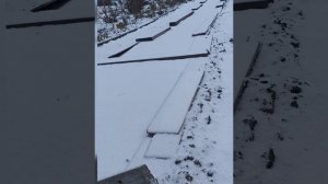 Испытанный десятилетиями и  самый надёжный способ укрытия винограда в Сибири