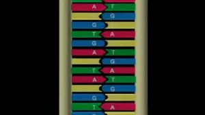 Копия видео ЧУДО СТРОЕНИЯ КЛЕТКИ 24