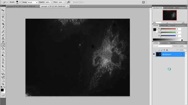 Superimpose Fluorescence Images in Photoshop смотреть онлайн