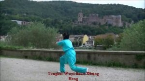 Tongbei Wuyi Basic