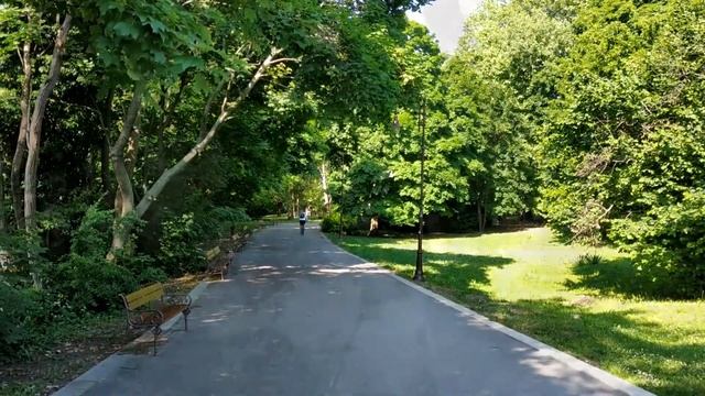 Пение птиц или птичий лечебный релакс смотреть онлайн