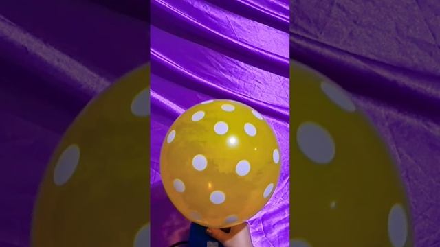 YELLOW POLKA DOT BALLOON INFLATION AND DEFLATION!!!